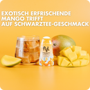 fyl Zuckerfreier Sirup