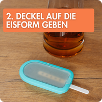 4er Eisformen Set