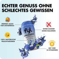 fyl 4+4 Gratis Energy+Klassik